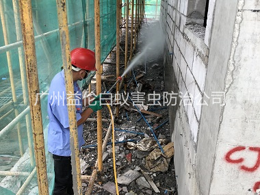 东环建筑白蚁预防工程
