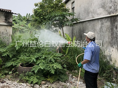 钟村社区消灭蚊子工程