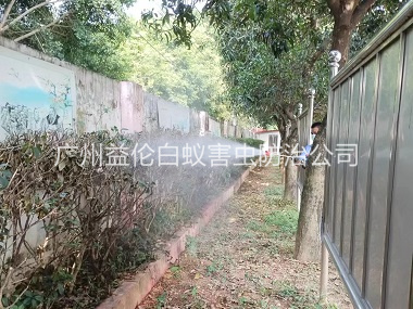沙头绿化带蚊蝇防治工程