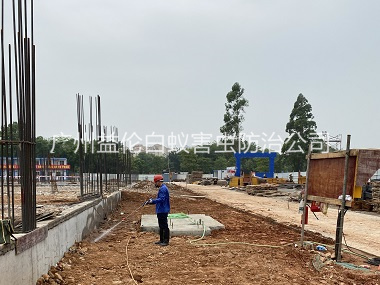 石楼地基白蚁预防工程