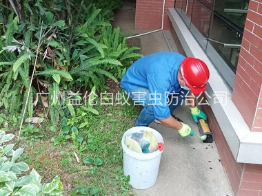 钟村施药灭鼠工程