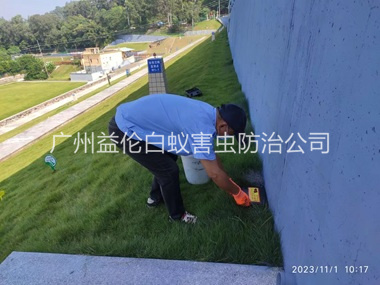 番禺堤坝鼠害防治工程