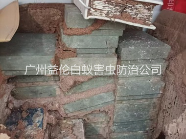 石壁防治白蚁危害工程
