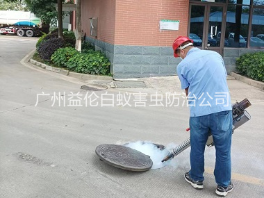 化龙蟑螂蚊蝇防控工程