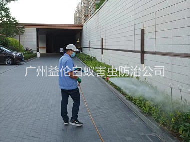 大石企业园区消杀蚊蝇工程