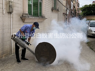 石楼村庄有害生物消杀工程