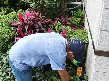 小谷围住宅环境灭鼠工程