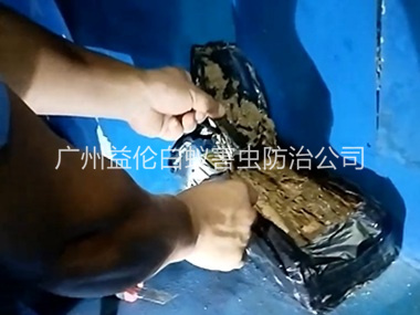 南村白蚁侵害防治工程