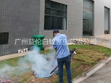 沙头厂区杀蟑螂蚊蝇工程