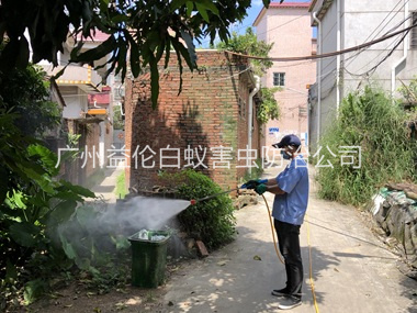 新造村庄灭蚊预防“两热”工程