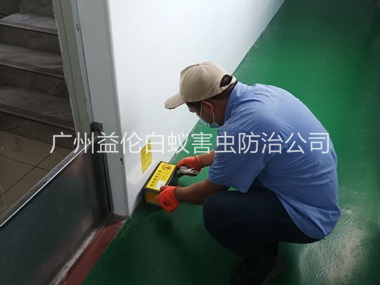 广州工厂车间室内布置粘鼠板工程